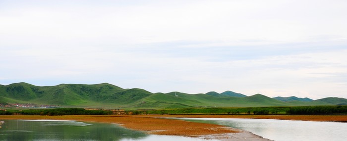 DSC_6528.jpg