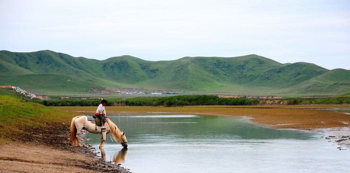 DSC_6540.jpg