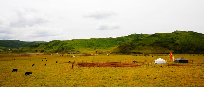 DSC_6410.jpg
