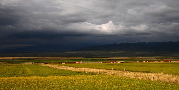 DSC_7102.jpg