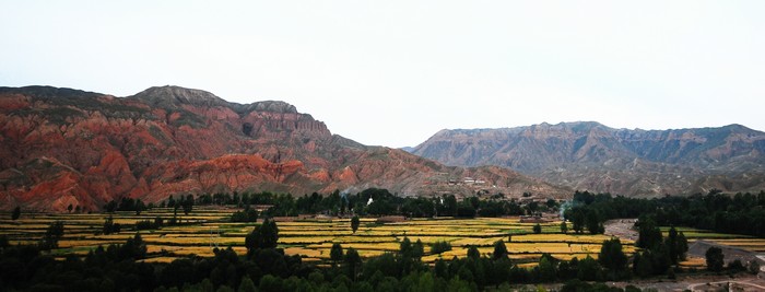 DSC_6968.jpg