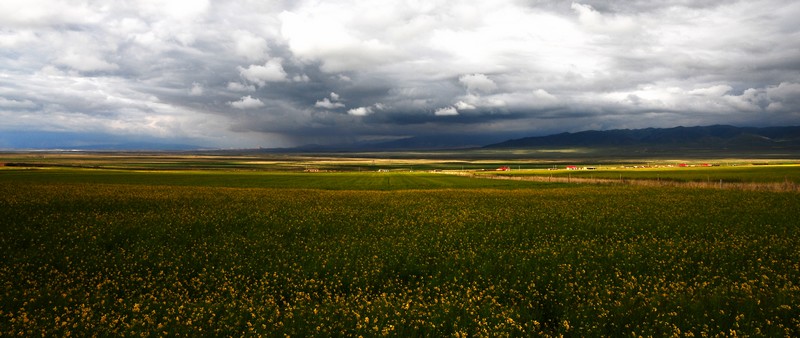 DSC_7113.jpg