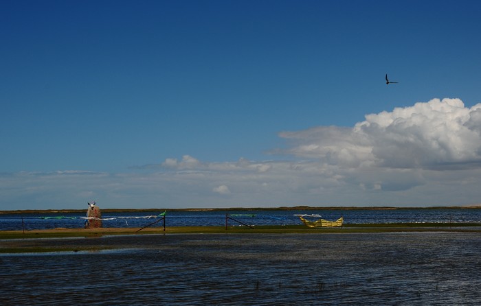 DSC_7343.jpg
