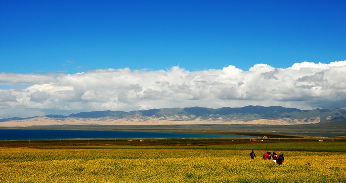 DSC_7423.jpg