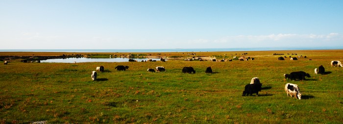 DSC_7559.jpg