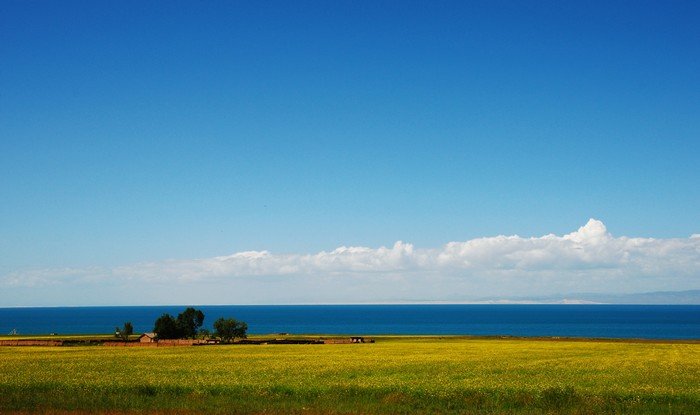 DSC_7499.jpg