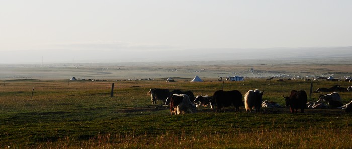 DSC_7865.jpg