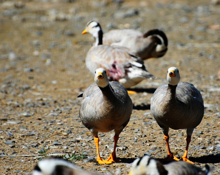 DSC_7893.jpg