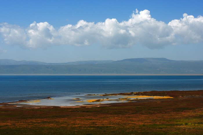 DSC_7980.jpg