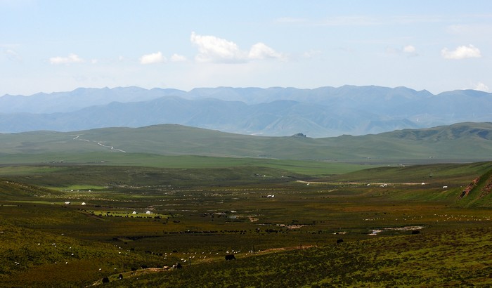 DSC_8734.jpg