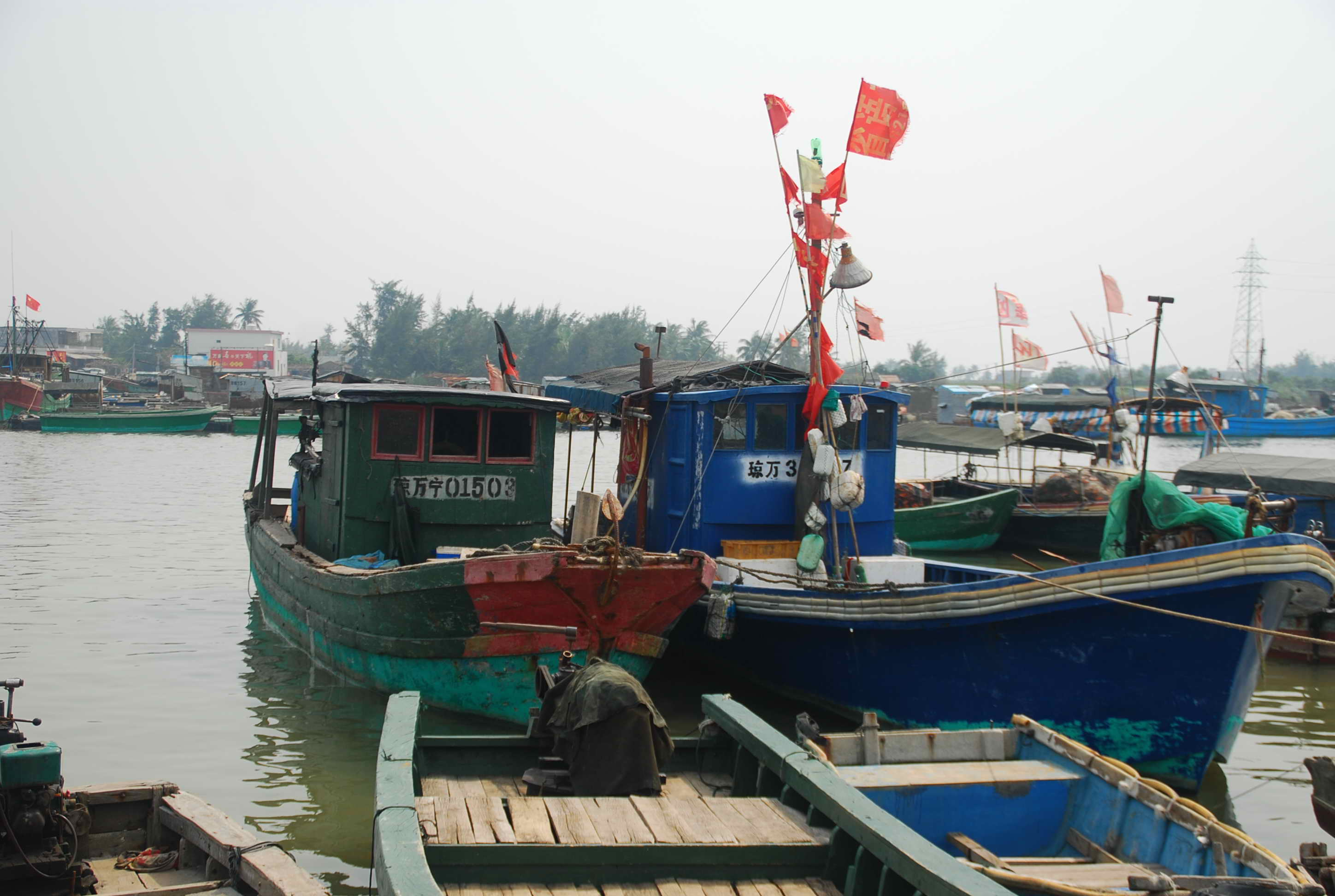 DSC_0575.JPG
