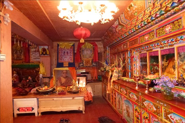 P1000429.JPG