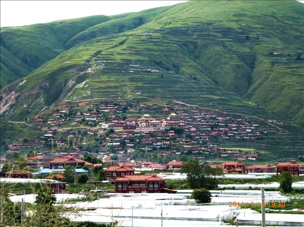 P1000554.jpg