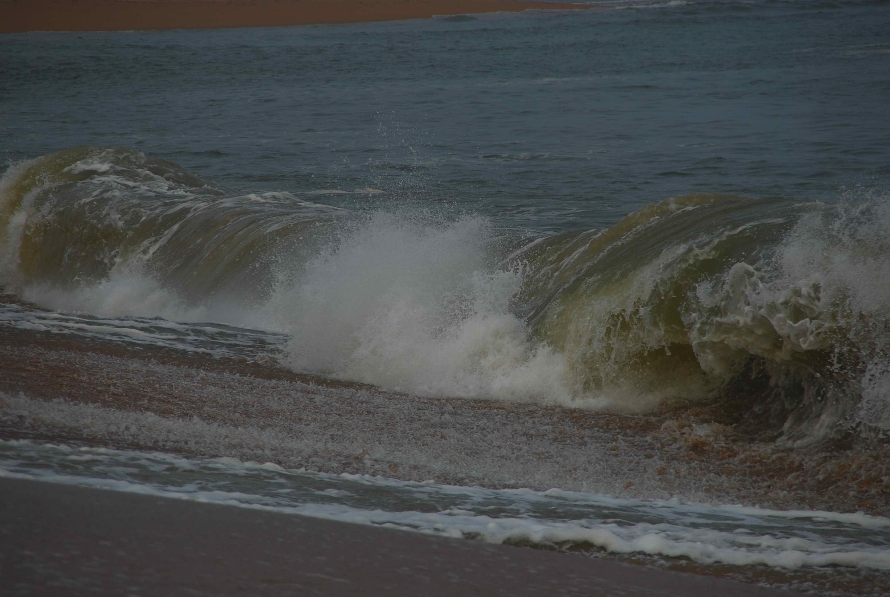 DSC_0786.JPG
