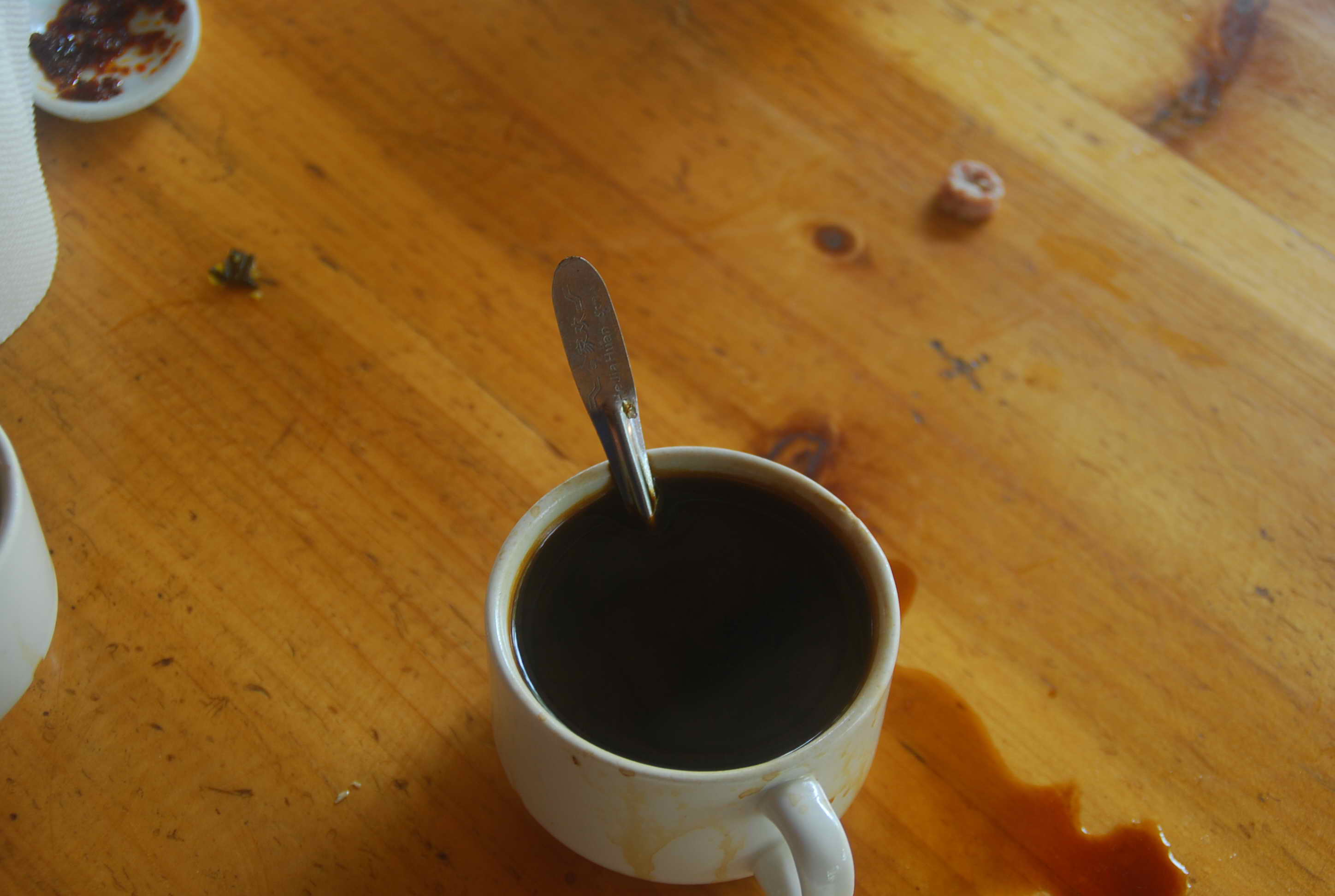 DSC_0863.JPG