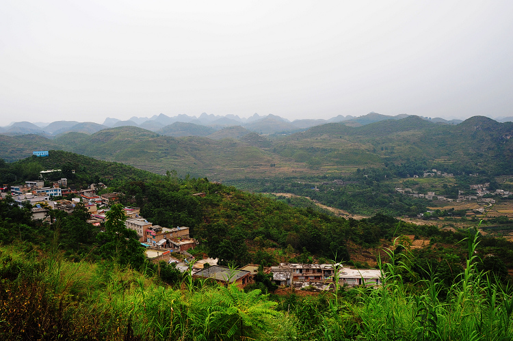 DSC_2813.JPG