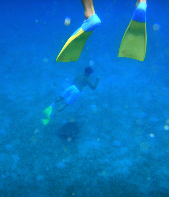 nEO_IMG_1DSC00393.jpg