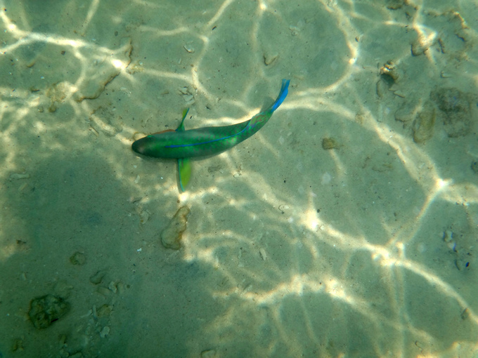 nEO_IMG_2DSC00625.jpg