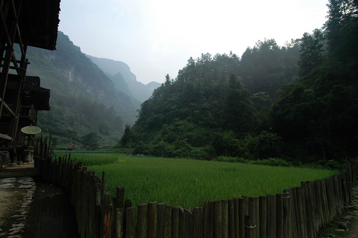 DSC_8357.jpg