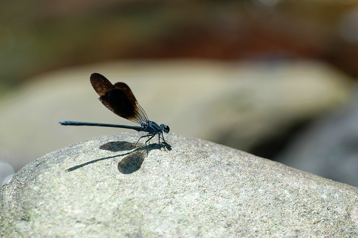 DSC_8315.jpg