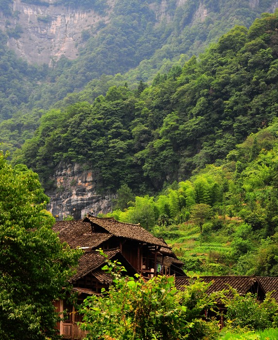 DSC_4751.jpg