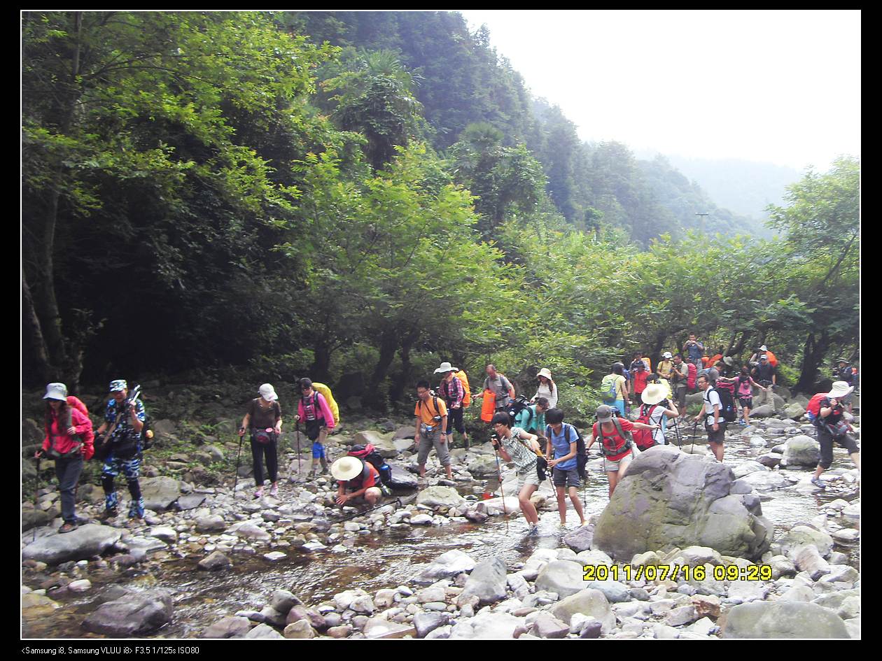 SDC10229.jpg