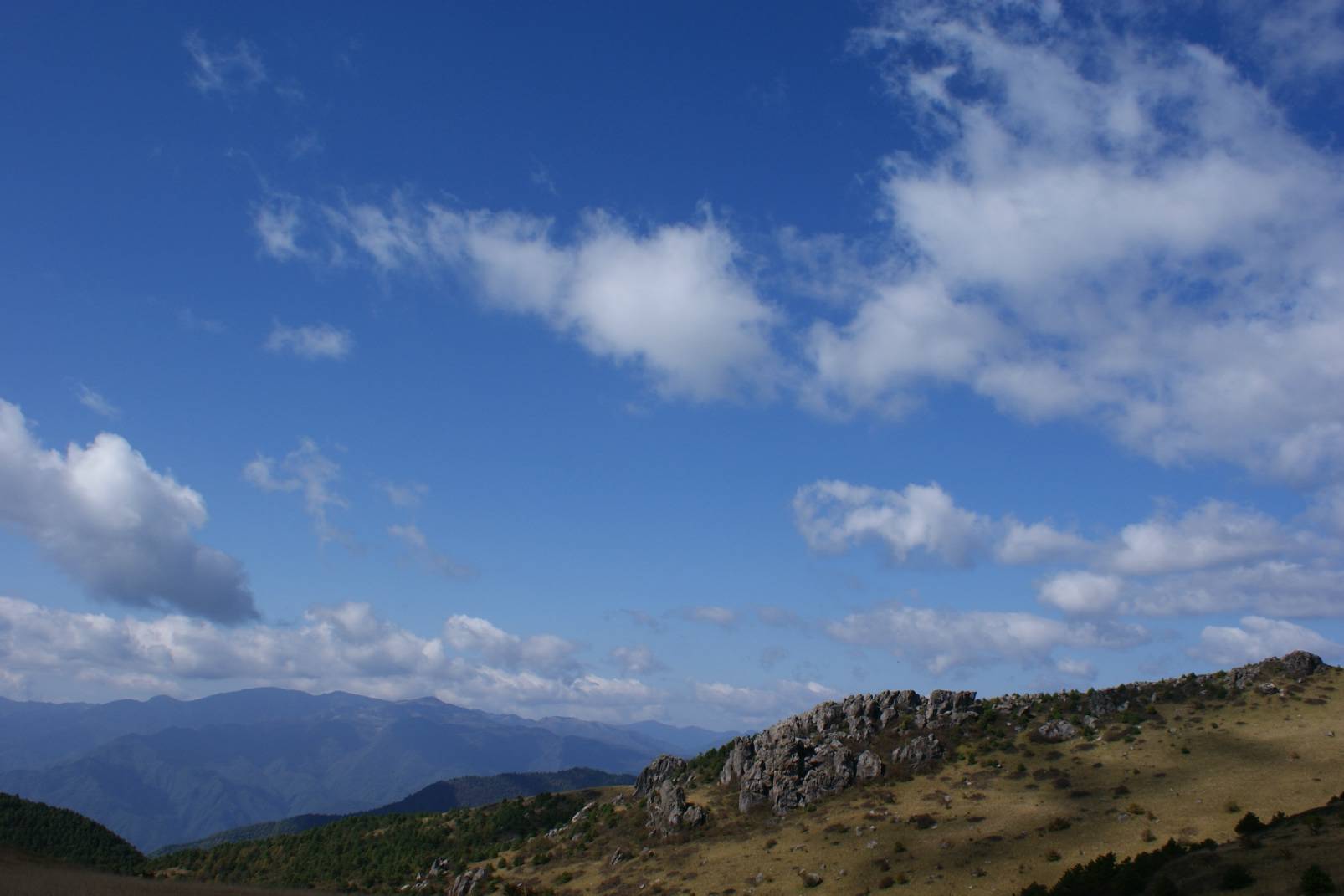 DSC06769.JPG