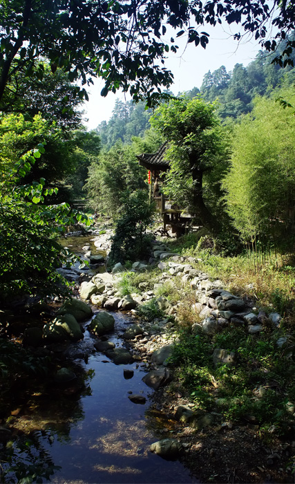 DSC02770.jpg