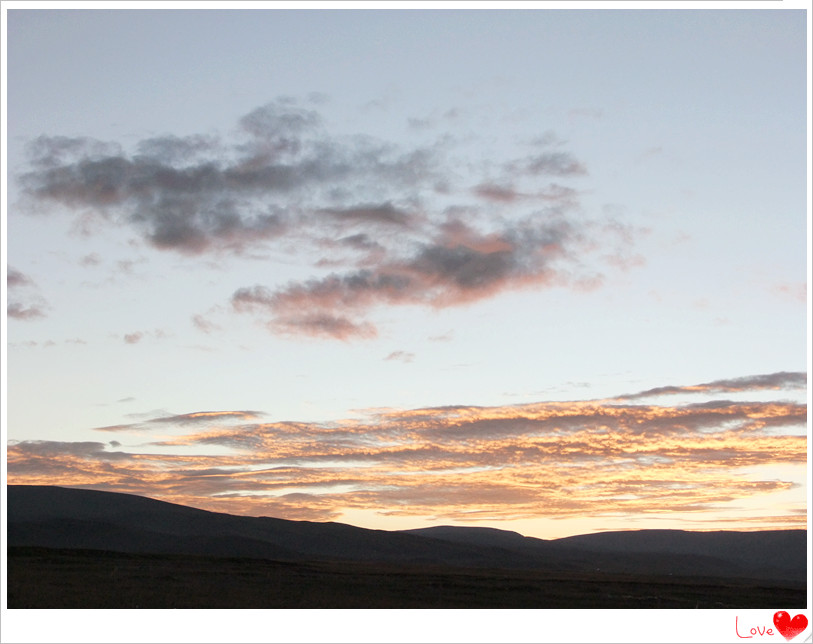 dscf0445_����.jpg