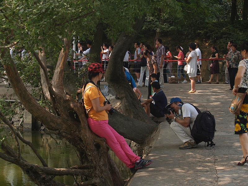 P8306322.jpg