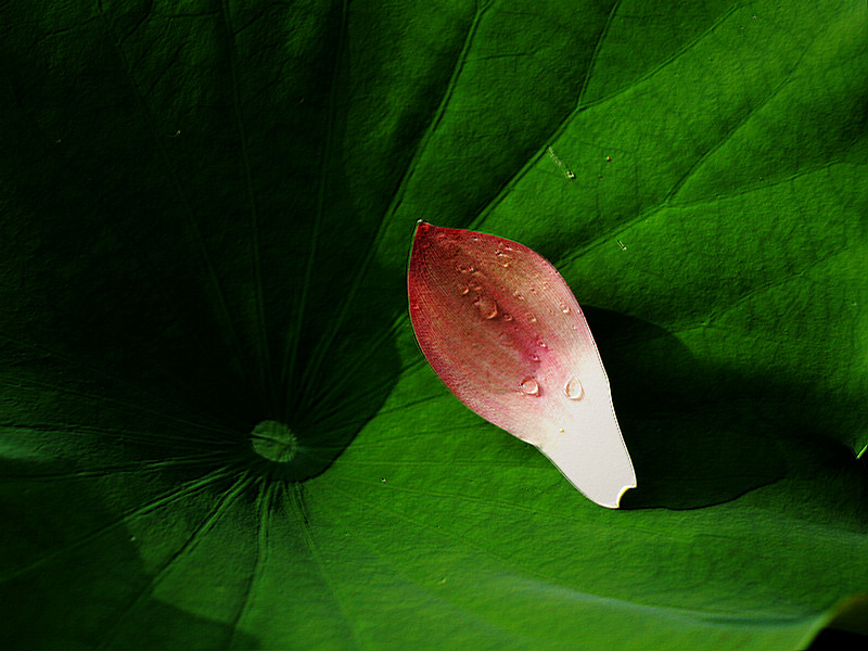 P8306313.jpg