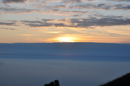 DSC_0275.JPG