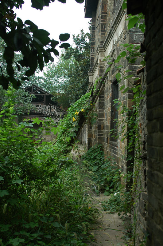 DSC_9529.JPG