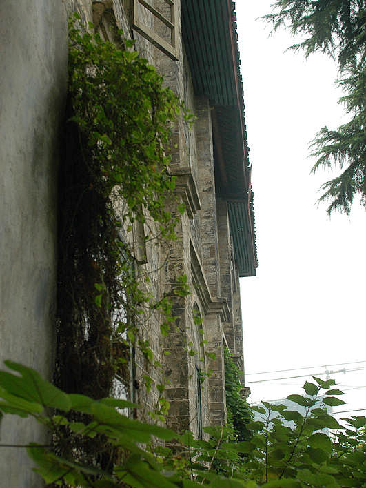 DSC_9551.jpg