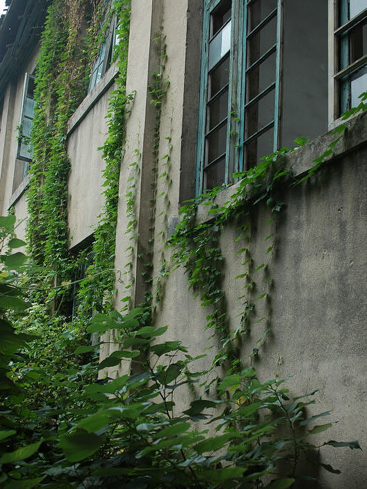DSC_9567.jpg