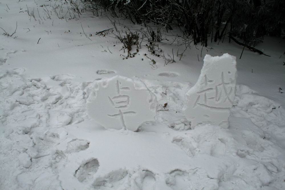 2106195whm2tw3g9ggwwab.jpg