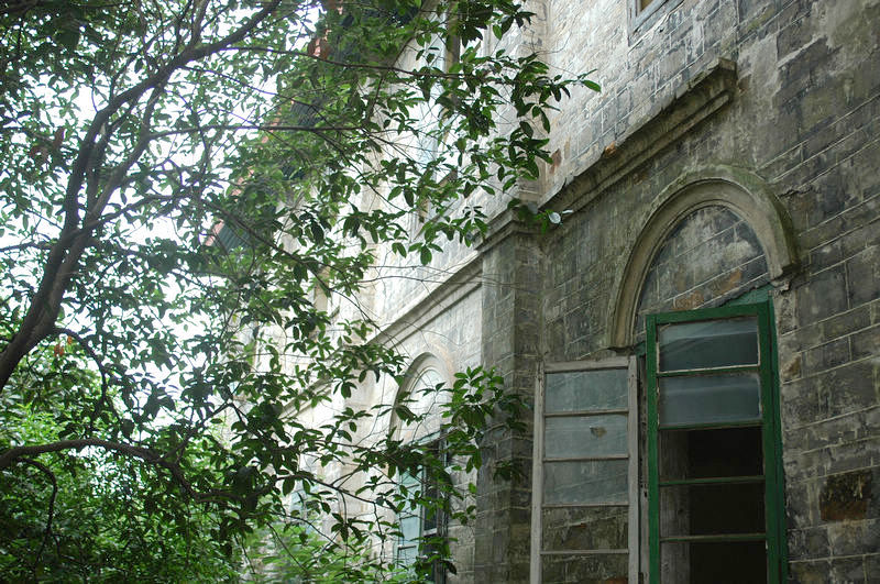 DSC_9563.jpg