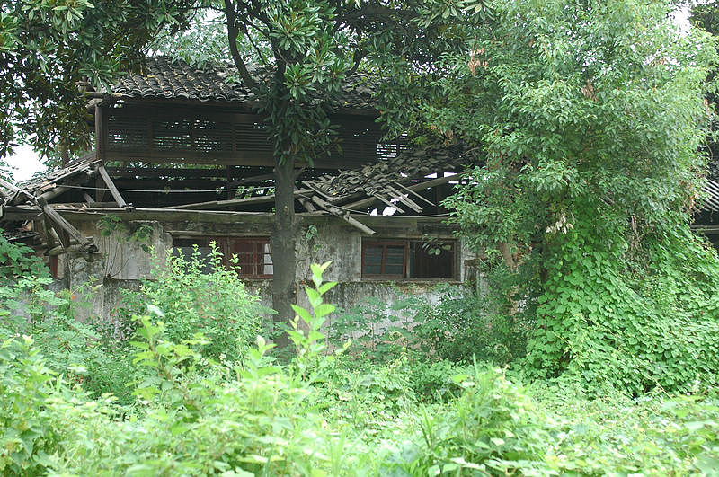 DSC_9555.jpg