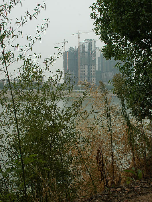 DSC_9578.JPG