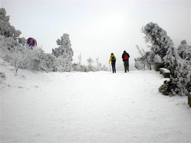 2222027v0wlslocblvncgm.jpg