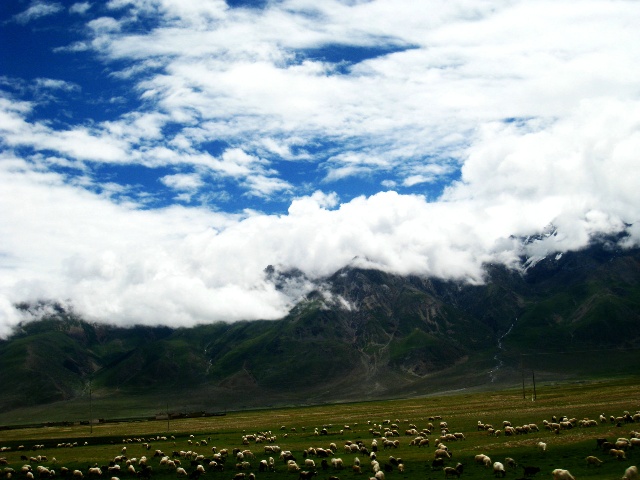 129cf8b70b1g213.jpg