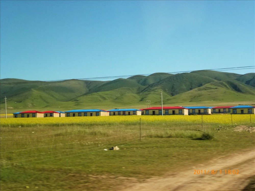 P1030517.jpg