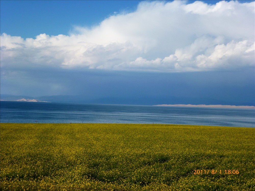 P1030519.jpg