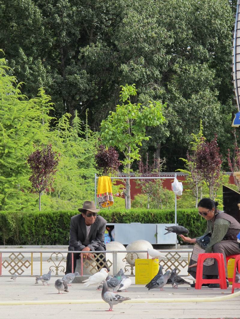 IMG_1054.jpg