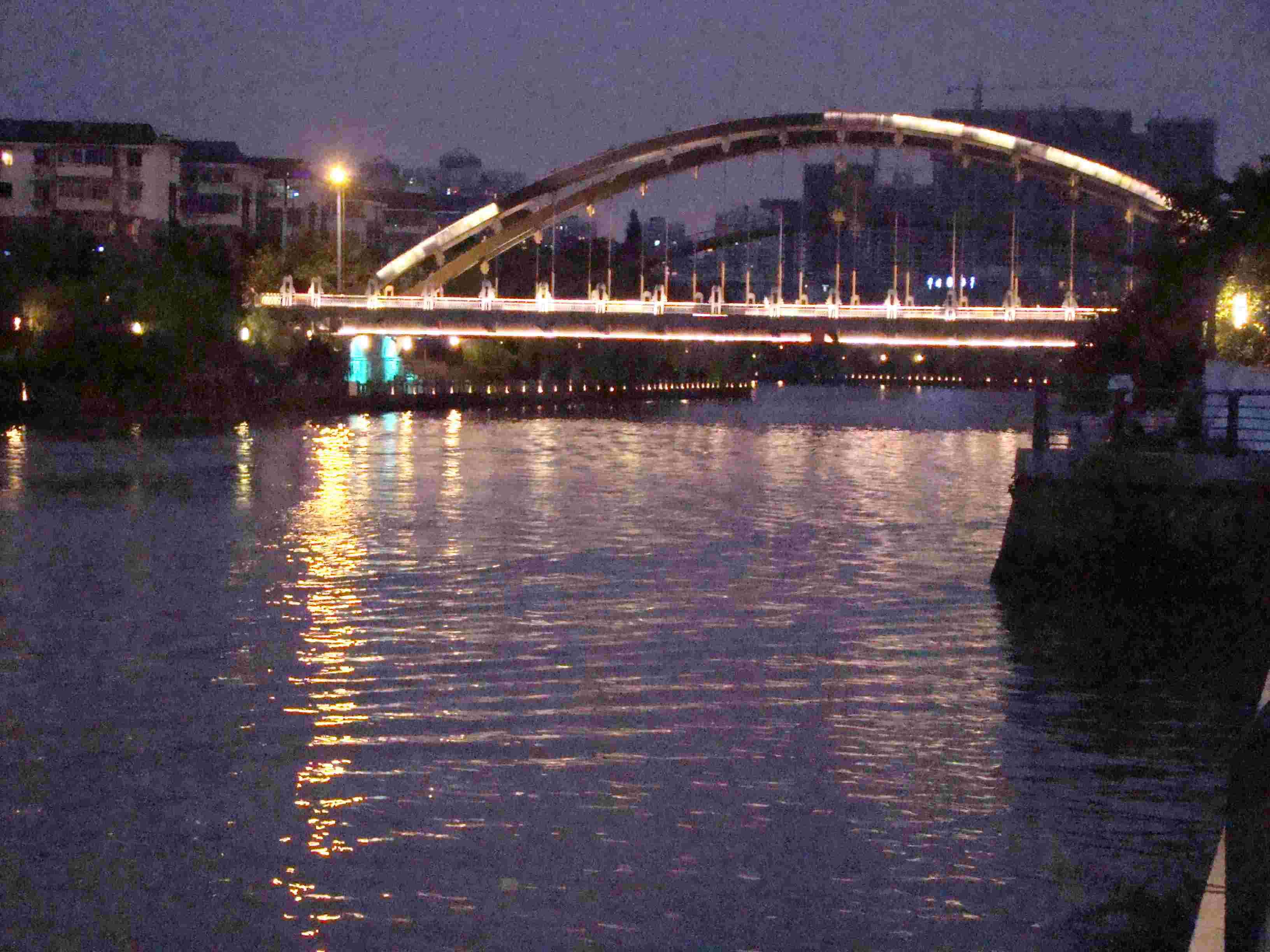 DSC06579.jpg