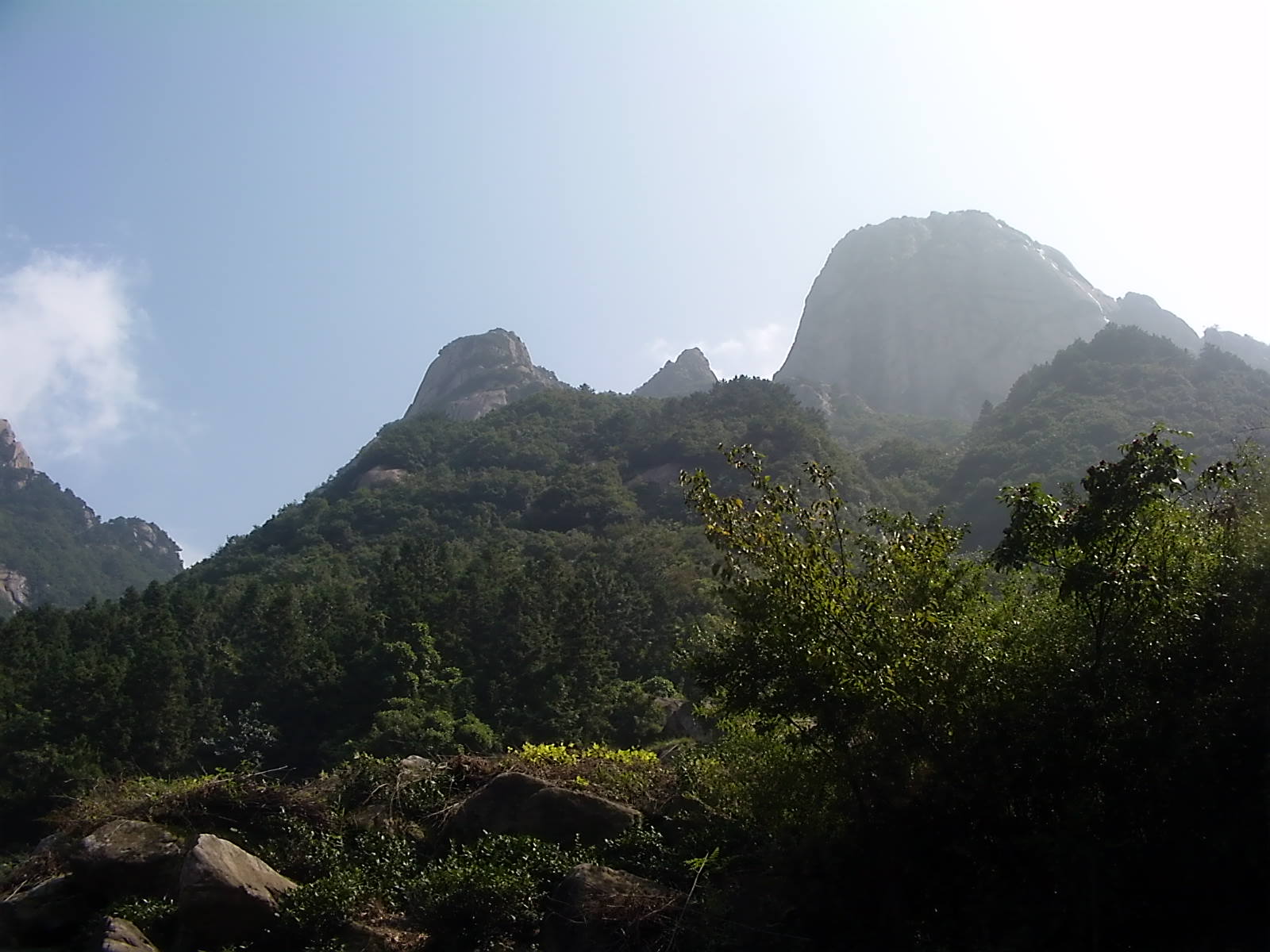 DVCI0634.JPG