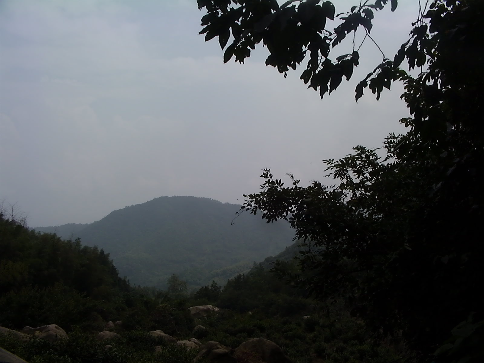 DVCI0643.JPG