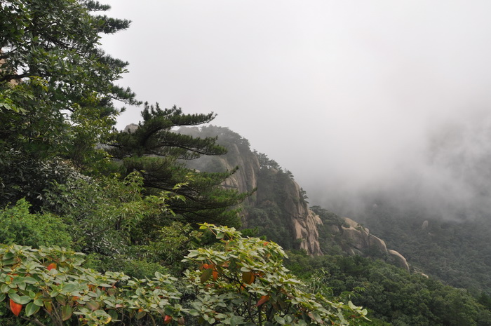 DSC_0056.JPG