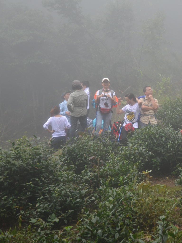 DSC_1053.jpg