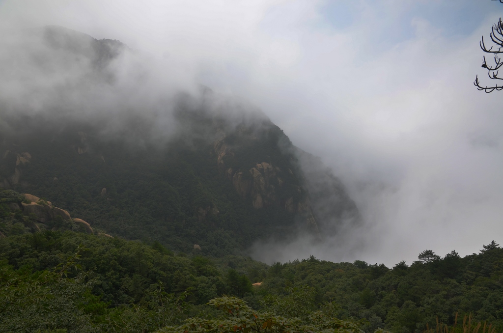 DSC_1150.jpg